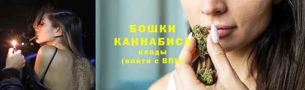apvp Рославль