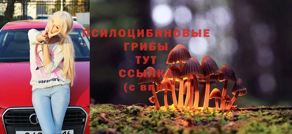 дурь Аркадак