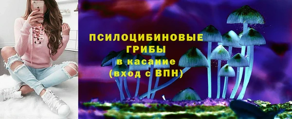 дурь Аркадак